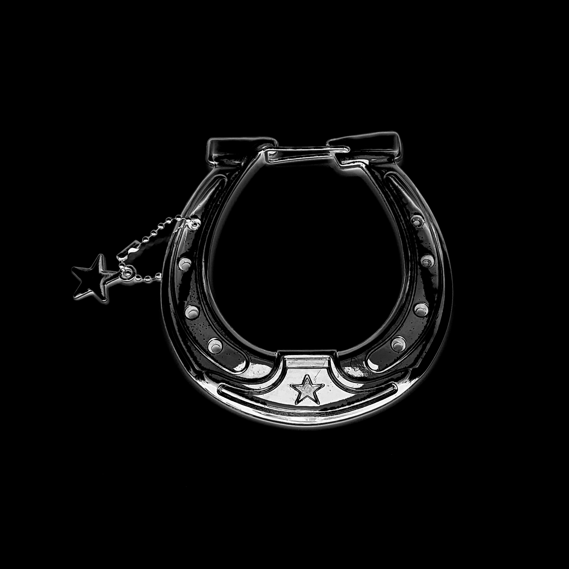 Metal Horseshoe carabiner