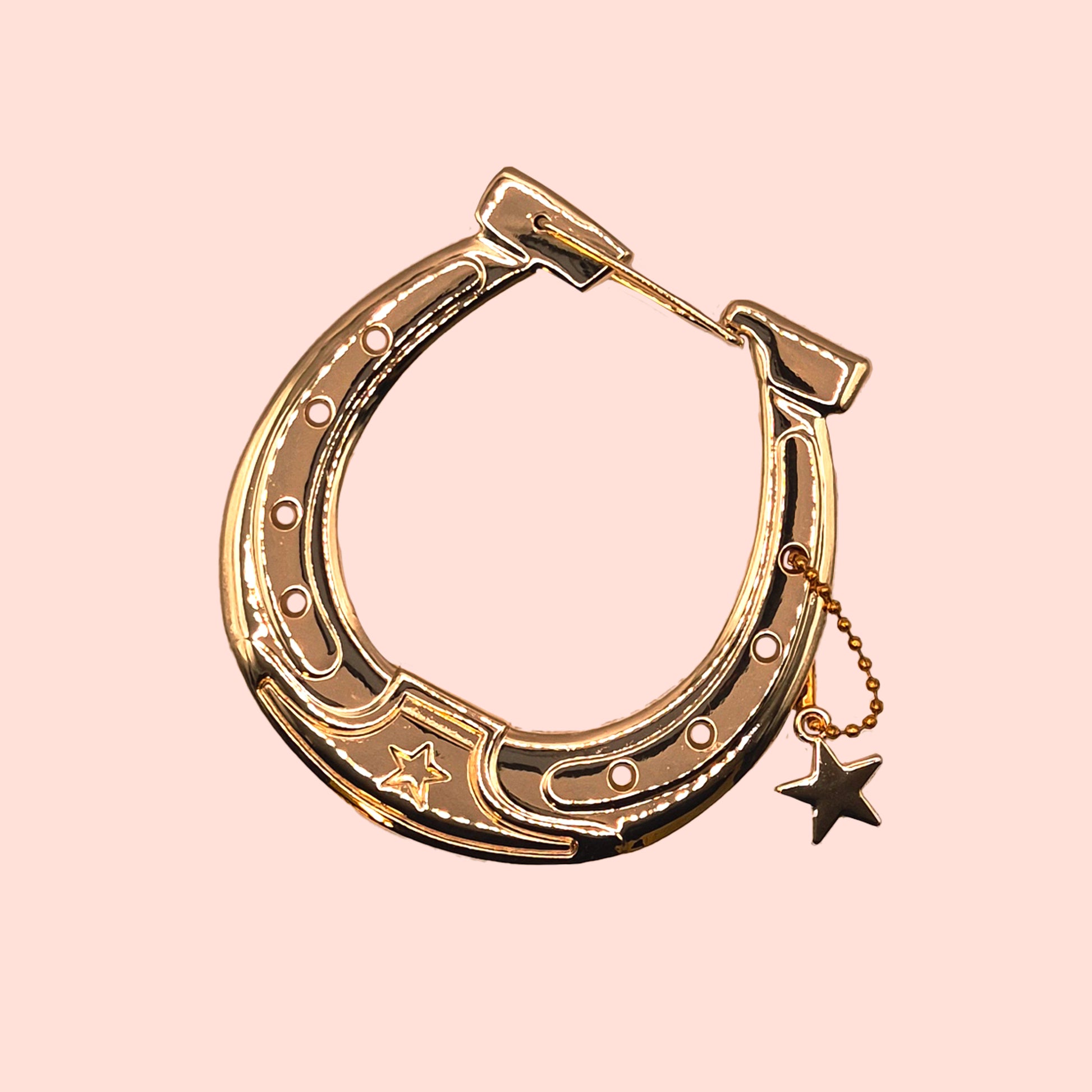 Metal Horseshoe carabiner