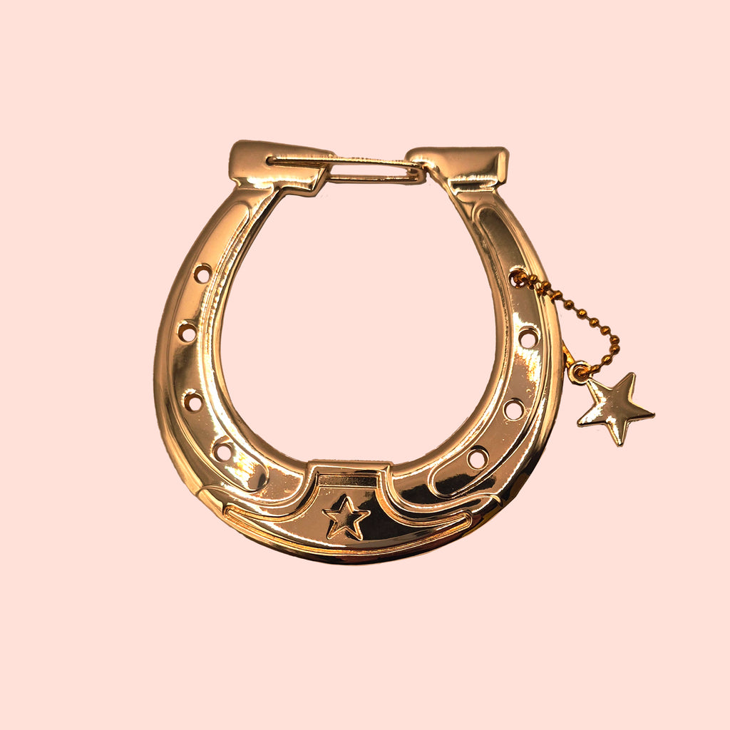 Metal Horseshoe carabiner