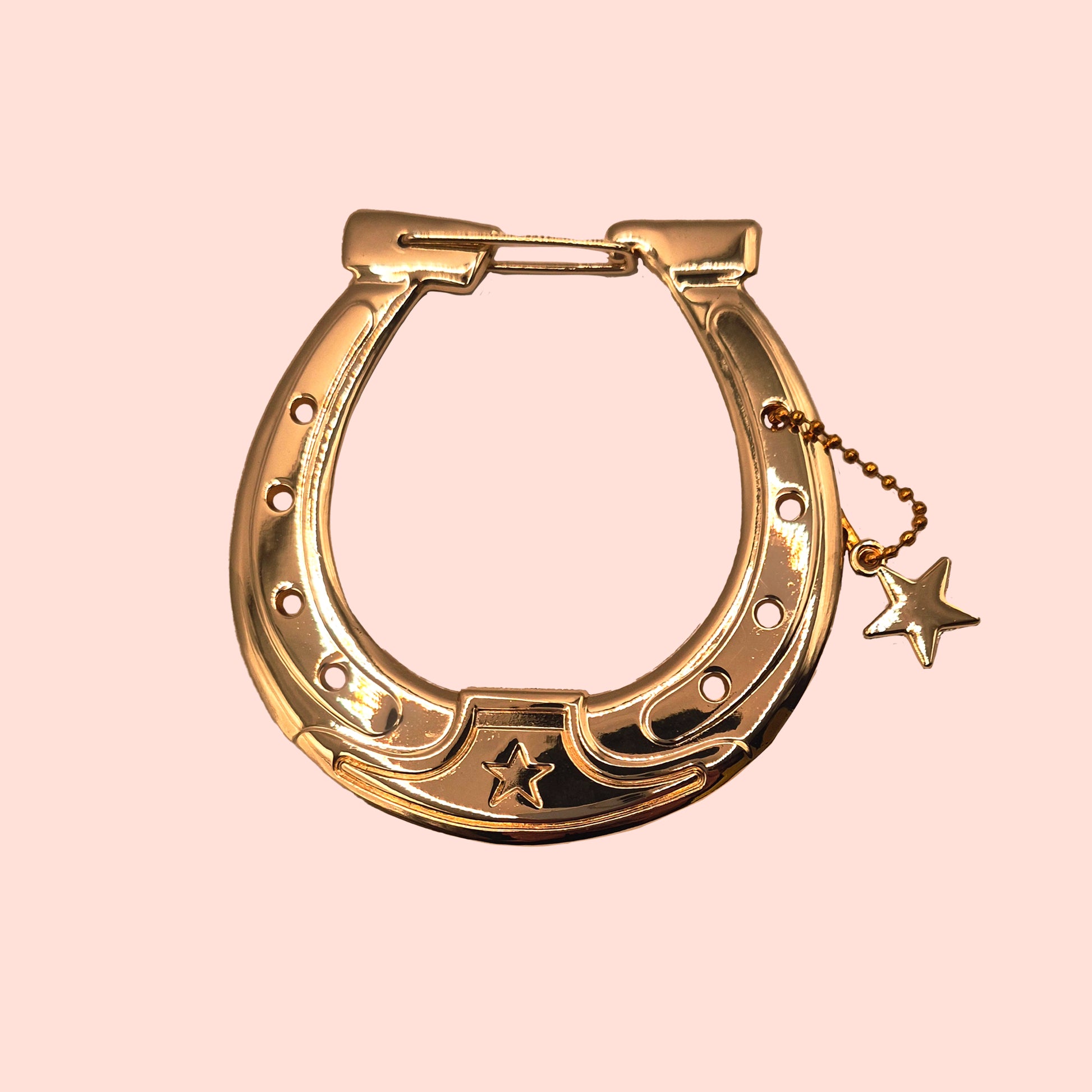 Metal Horseshoe carabiner